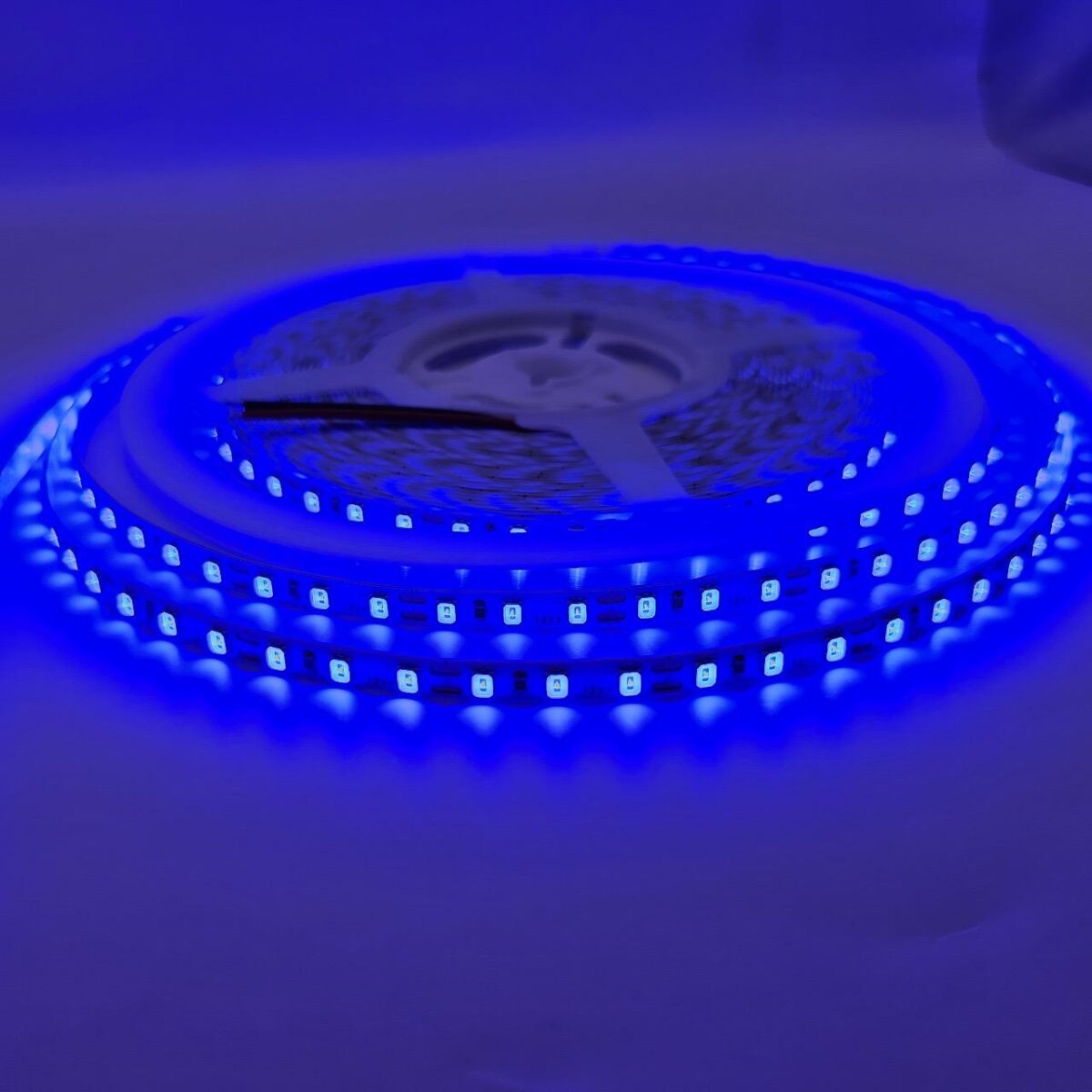 Led Strip Light – Moonlight-art-llc.com